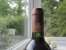 Chateau Lascombes 1995, Margaux (CT 90)