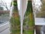 Pinot Gris Reserve 1987 Gustave Lorentz, Alsace