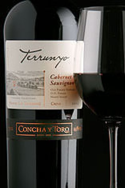 Concha y Toro Terrunyo Pirque Cabernet Sauvignon, 2008