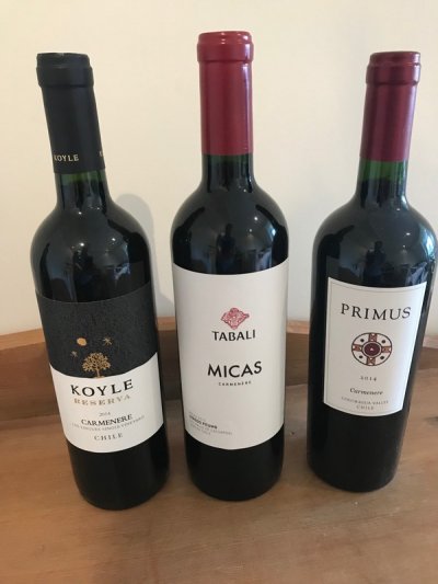 A taste of Chilean Carmenere, 2014 (ERP 88-91pts)