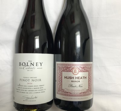 2 x Great English Pinot Noirs - perfect bottles and small vineyards 