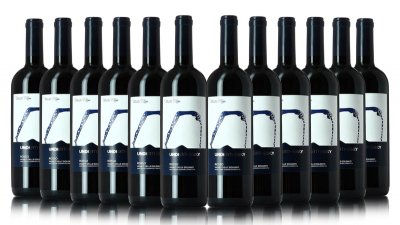 Vigneti delle Dolomiti “Under the Sky” 2013 – Mattia Filippi