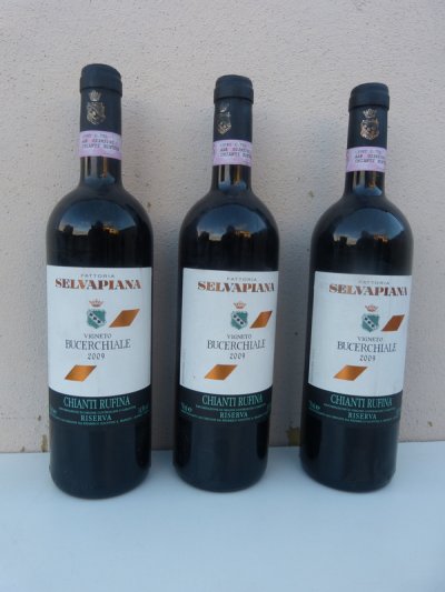 2009 SELVAPIANA / Bucheriale / Chianti Rufina Riserva