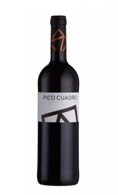 Ribera del Duero, Pico Cuadro Vendimia Seleccionada 2009 DO
