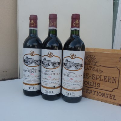1986 Château CHASSE SPLEEN / Moulis