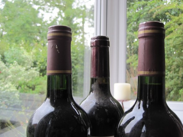 Shiraz 1999 Groot Constantia, Constantia