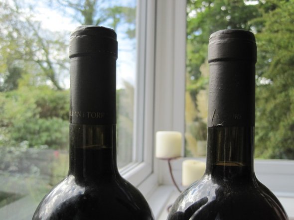 Amadis 1996 Rotllan Torra, Priorat (CT 89)