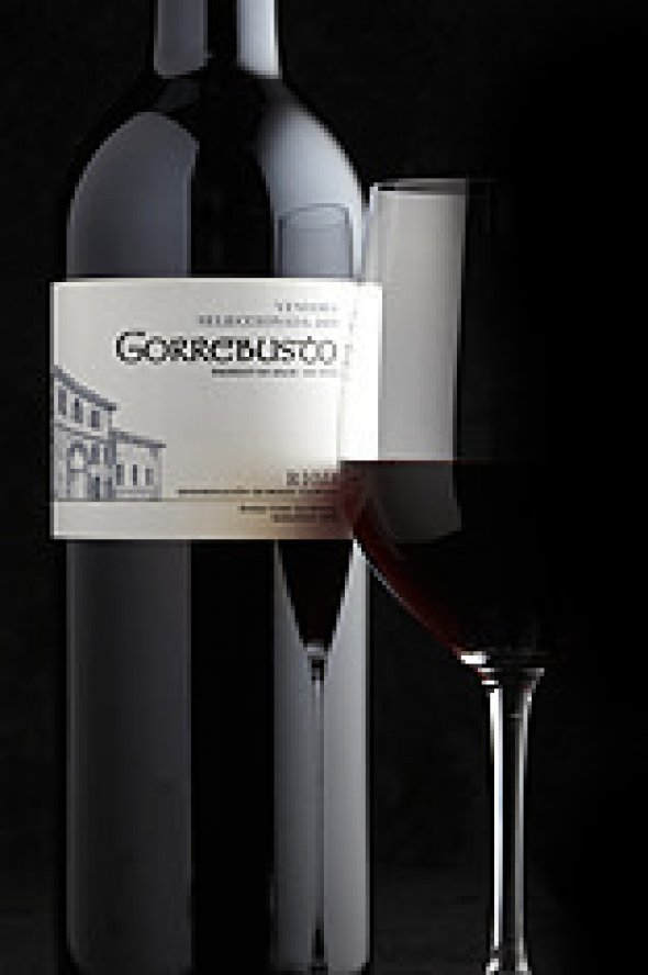Gorrebusto Vendimia Seleccionada, Rioja 2009