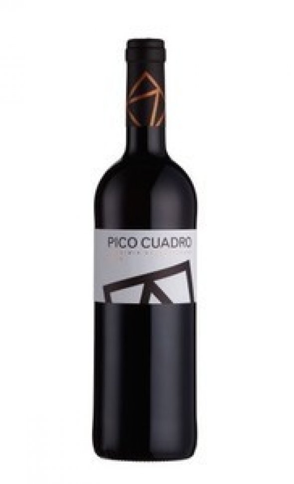 Spain, Ribera del Duero ,Pico Cuadro VS 2009 DO