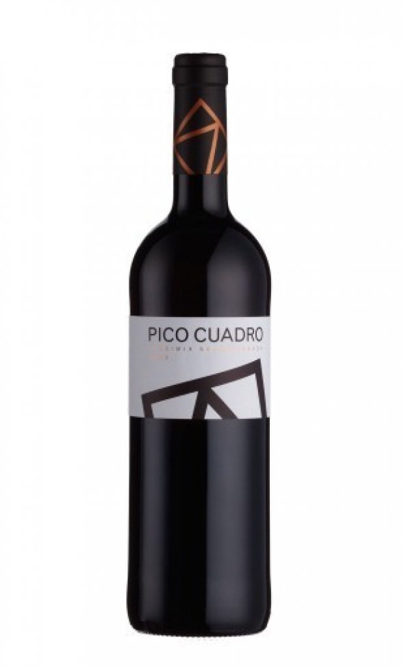 Ribera del Duero, Pico Cuadro Vendiima Seleccionada 2009 DO