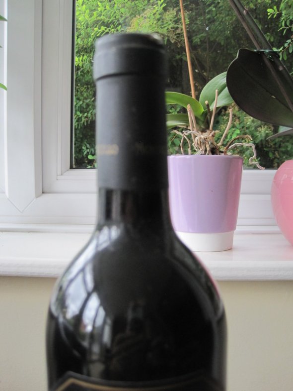 Gran Reserva 1994 Bodegas Montecillo, Rioja (WS 91)
