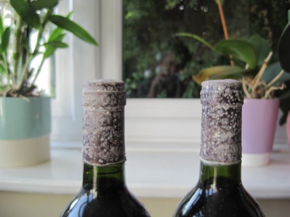 Crianza 1990 Vina Mayor, Ribera del Duero