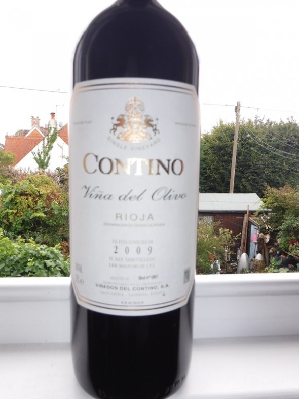 2 x Magnums 2009 "Vina del Olivo", Contino Rioja, Spain
