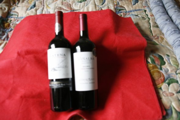 Catena High Mountain  2015 Vinalba Touriga Nacional 2015 Argentina