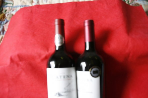 Catena High Mountain  2015 Vinalba Touriga Nacional 2015 Argentina