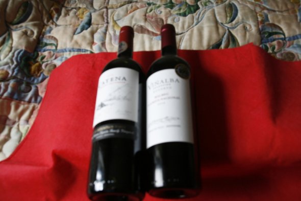 Catena High Mountain  2015 Vinalba Touriga Nacional 2015 Argentina