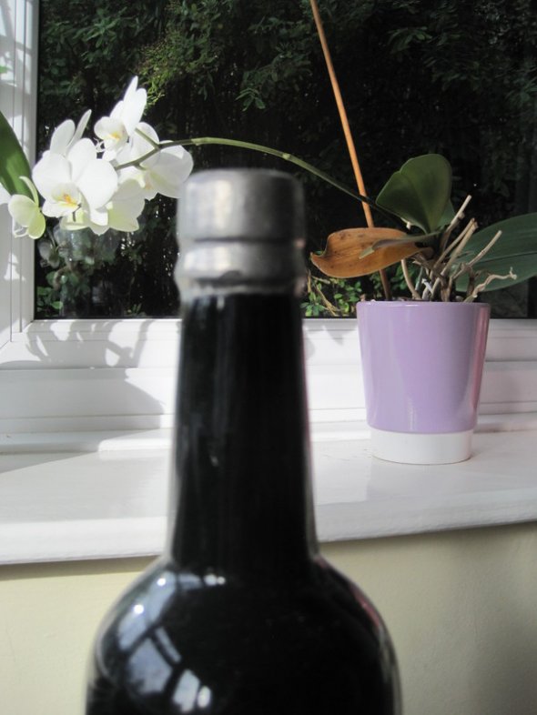 Gonzalez Byass Vintage Port 1970