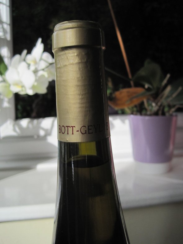 Tokay Pinot Gris Furstentum Alsace Grand Cru 1999 Domaine Bott-Geyl