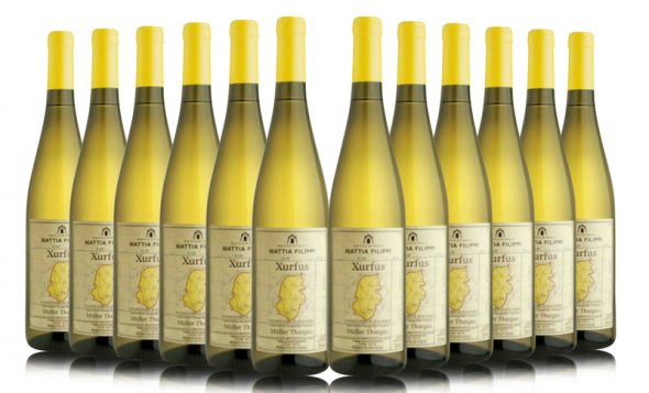 Vigneti delle Dolomiti IGT &ldquo;Xurfus&rdquo; 2015 &ndash; Mattia Filippi