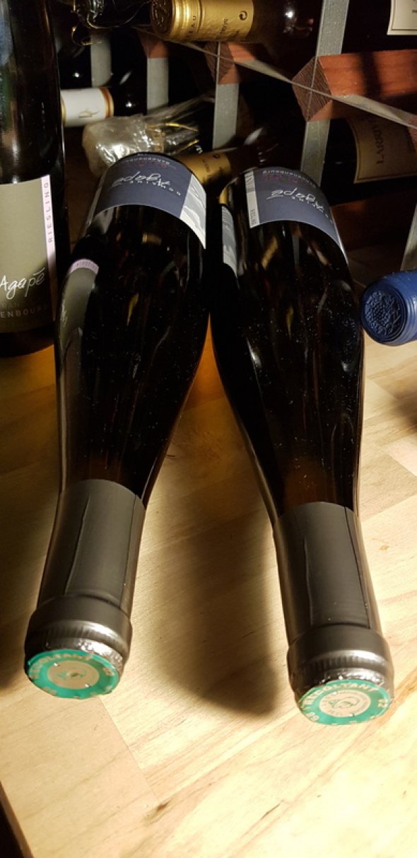 2013 Riesling Schoenenbourg Grand Cru Domaine Agape