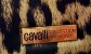Cavalli Collection 2005 Limited Edition 0065/2500