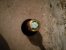 Taittinger, Comtes de Champagne Blanc de Blancs