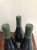 Chateau des Rontets, Pouilly-Fuisse, Birbettes
