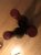 Louis Chenu Savigny Premier Cru 3 Pack (2009/2010)