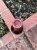Domaine Louis Jadot, Gevrey-Chambertin Premier Cru, Clos Saint-Jacques