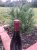 Domaine Dujac, Gevrey-Chambertin Premier Cru, Aux Combottes