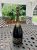 Krug, Brut