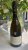 Philipponat, Clos Goisses Brut