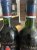 Chateau Laville Bertrou