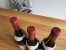 Lucien Boillot, Nuits-Saint-Georges Premier Cru, Les Pruliers