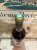 Cuvee Madame, Chateau Coutet, Barsac