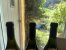 Domaine de la Vougeraie, Clos Blanc de Vougeot 1er Cru
