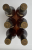Hine, Vintage Early Landed 1990 Bottled 2004, Grande Champagne Cognac (Bristol Spirits Ltd.)