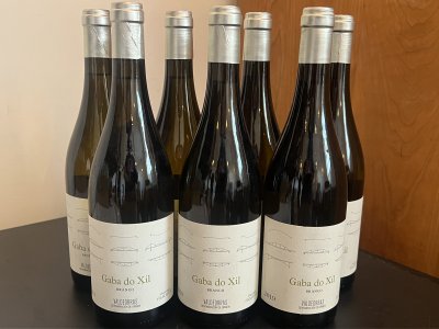 Telmo Rodriguez, Valdeorras, Gaba Do Xil Godello