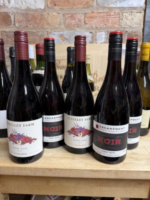 mixed pinot x 5