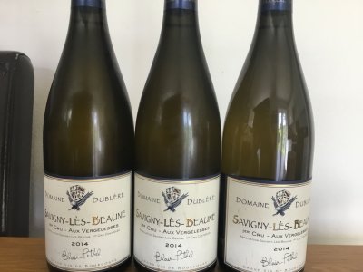 Domaine Dublere, Savigny-les-Beaune Premier Cru, Les Vergelesses Blanc