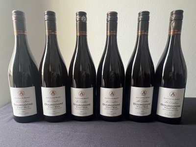 Bourgogne Pinot noir les Ursulines 2021