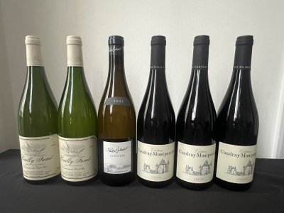 Nice selection of Loire wines