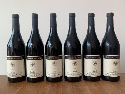 Giacomo Grimaldi, Barolo, Castello Novello