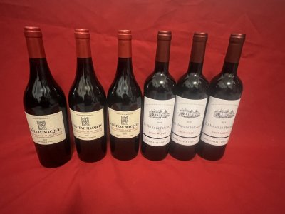 3x château macquin 2020 & 3x hauts de perganson 2019