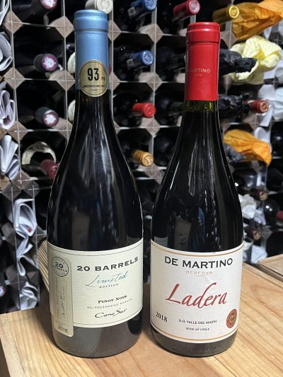 Chilean duo: 20 Barrels Pinot Noir & De Martino 'Ladera'