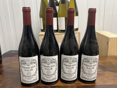 Valdeorras, Pagos Del Galir 
