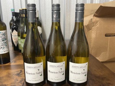 Les Thureaux Menetou-Salon Blanc