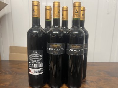 Emergente, Roble, Navarra