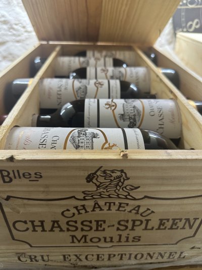 Chateau Chasse-Spleen, Moulis en Medoc