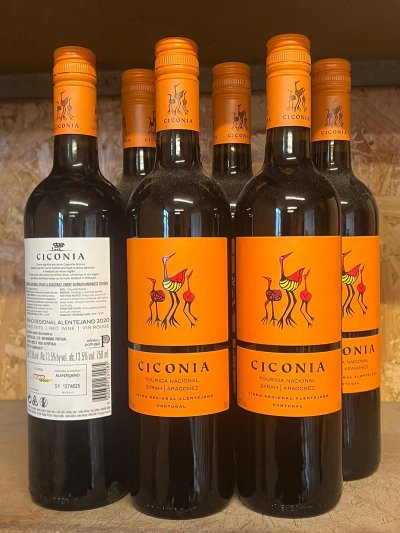 Ciconia Tinto (Touriga Nacional - Syrah - Aragonez) 